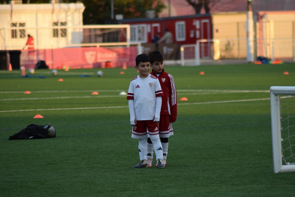 ⚪️🔴 ¡La Escuela de la Sevilla FC Academy vuelve a los entrenos!

Nuestros jugadores retoman los entrenamientos para seguir creciendo y formándose bajo los valores y la metodología del Sevilla FC. ⚽️💥

#NuncaTeRindas #SevillaFC #CanteraSFC #EFAntonioPuerta