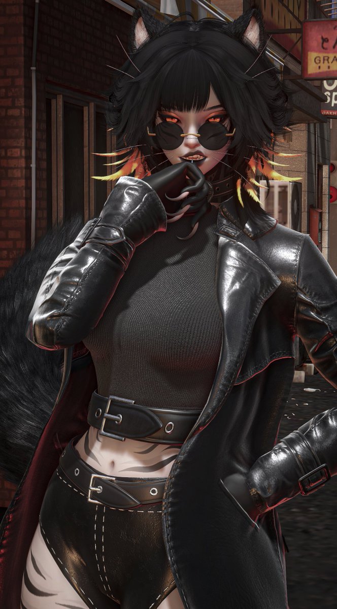 FinCay_'s tweet image. Streetcat.