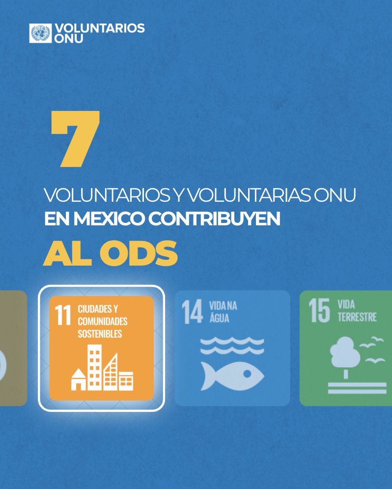🔍 ¿Sabías que..

7️⃣ Voluntarios/as ONU en México contribuyen al ODS 11 "Ciudades y comunidades sostenibles?