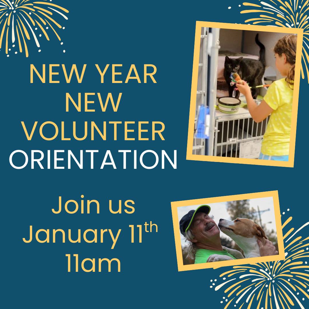 Cityofjeff tweet media