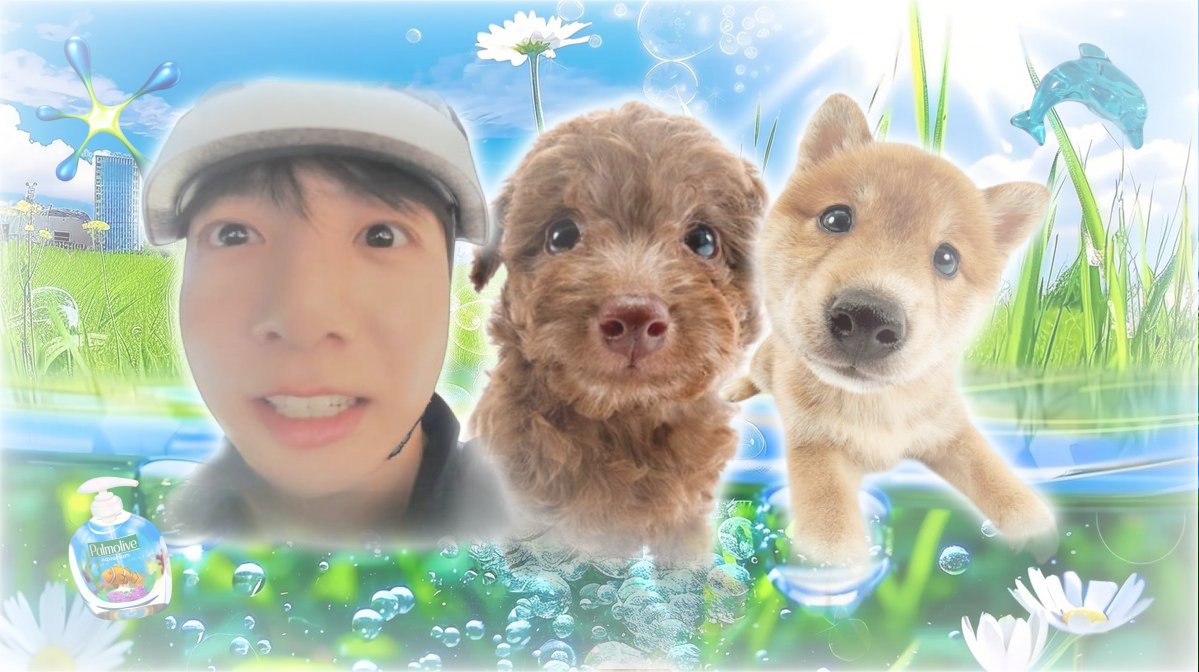 ْ (@kooterest) on Twitter photo 