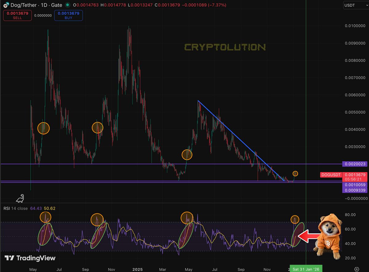 Rocha boy -Ordinals Runes (@RochaHogan) / Posts / X