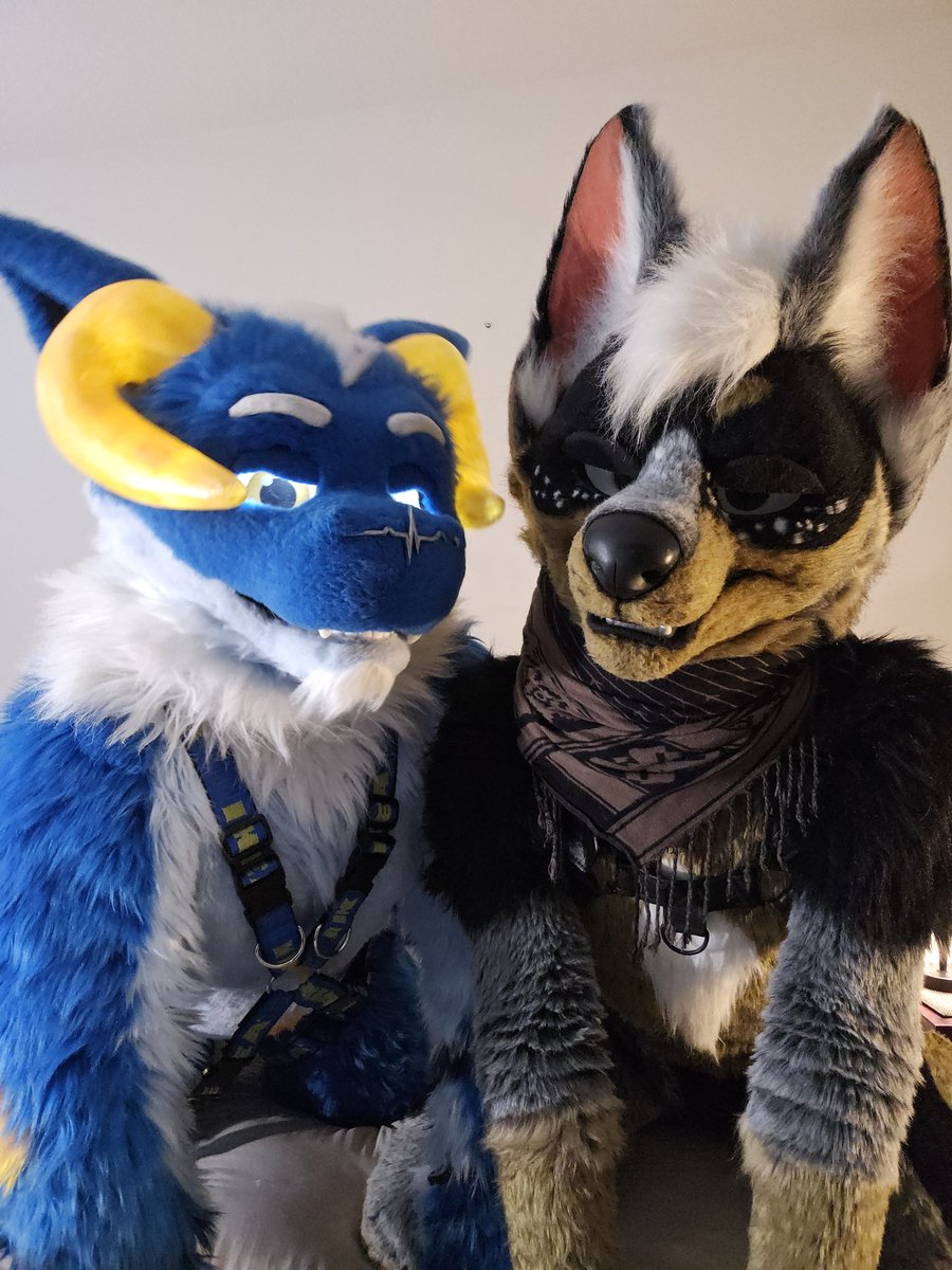 Big Bad Bulf 🔜 Megaplex, EDCO tweet media