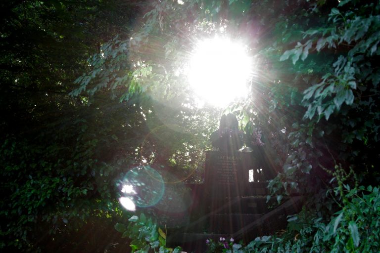 Marc Bolan's Rock Shrine tweet media