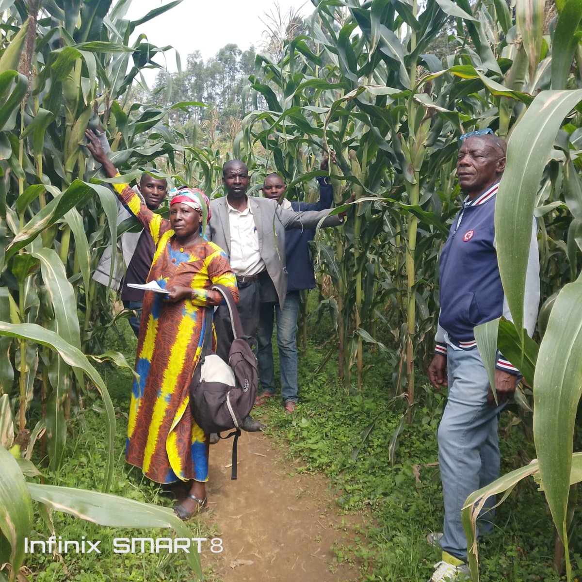 Fondation3600's tweet photo. On January 7, 2026, in Kanjongo Sector, Nyamasheke District, Uwineza Christian visited Kigarama FoBaSi site, worked with group leaders inspecting farms damaged by severe sunshine, and reminded farmers to insure crops insurance. https://t.co/KgHiRzIgXB