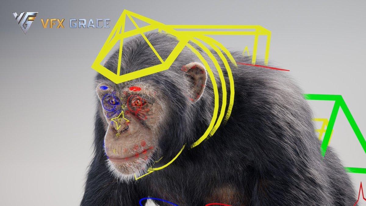 ☆チンパンジー☆デッサン☆ チンパンジー | 絵描きびと acopachan（あこぱちゃん）のブログ