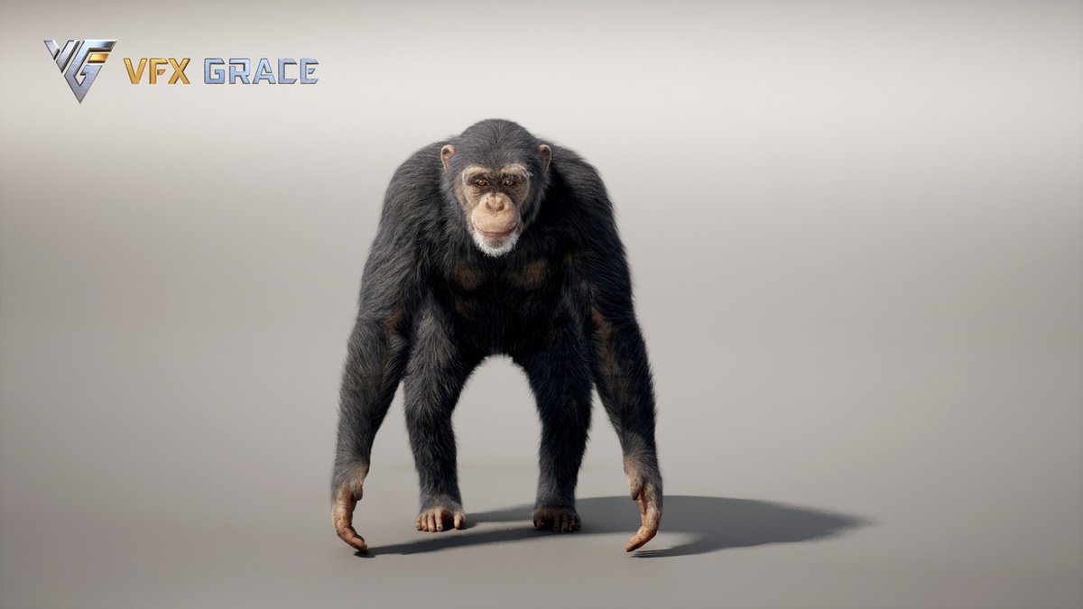 🐒猿 好きの皆さん リアルなチンパンジーの3Dモデル（UE5用）が Fab上