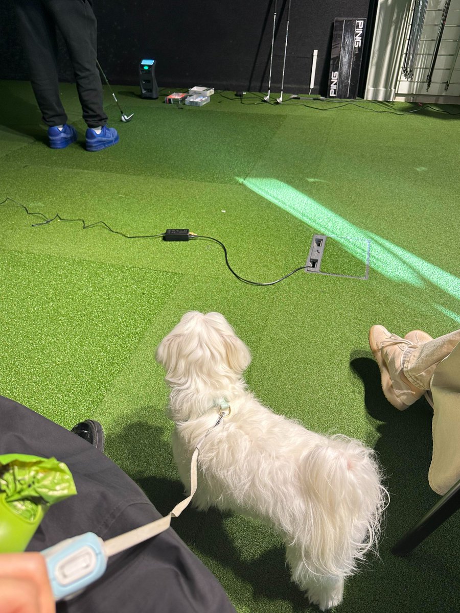 Ruby12338's tweet image. 