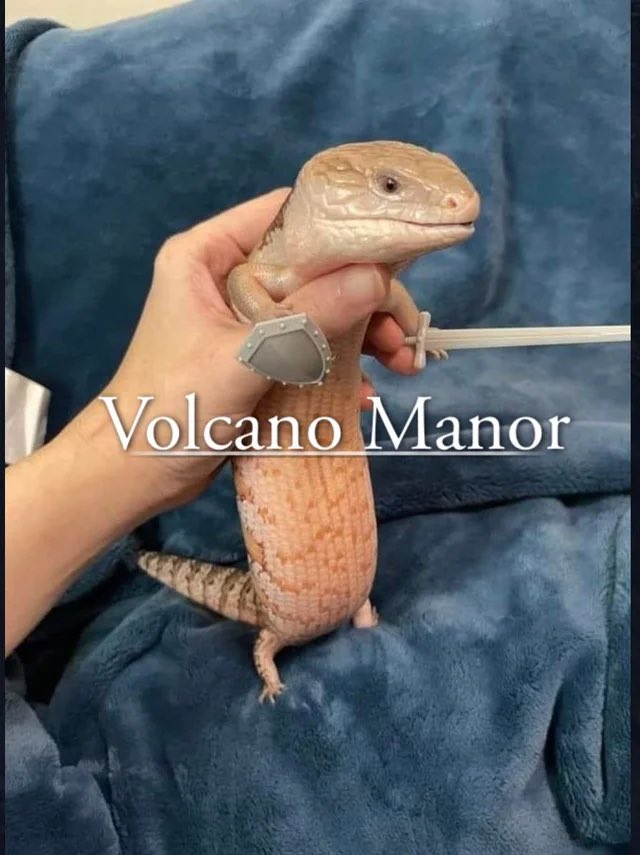 VideoArtGame (@videoartgame) on Twitter photo 