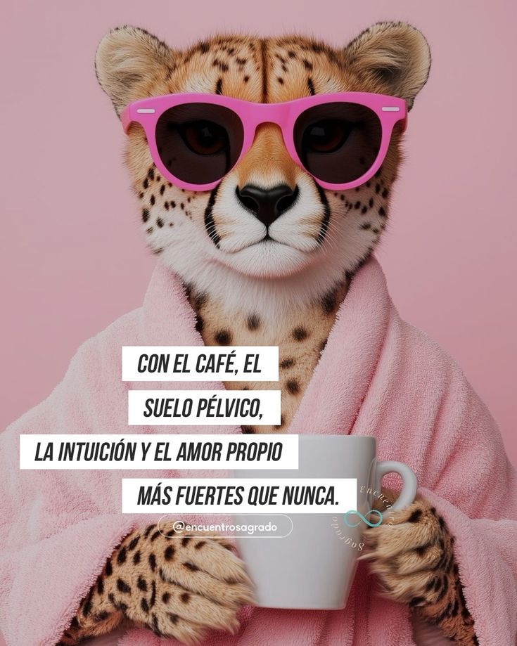 mamiyolis's tweet photo. @GARGREEN2 @RETRO983 @luz_adriana_gto @EPatyGH @Jorgito702Jorge @JAdolfoMtzL @artaroo2001 @VickyMMG17 @VivoEnLeon @ANAYALOLA71 @oscar_floch @petercv355 @Angie_Glez23 @LayethOpgirl @olgalmd @OSWALDORIOSM @EseRene https://t.co/9asWNLjDiv