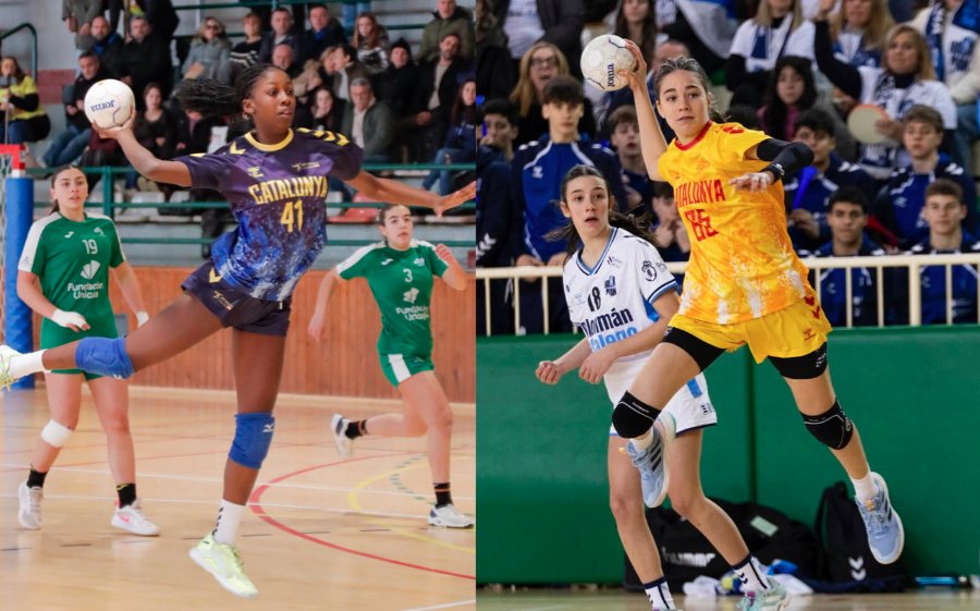 CatHANDBOL tweet media