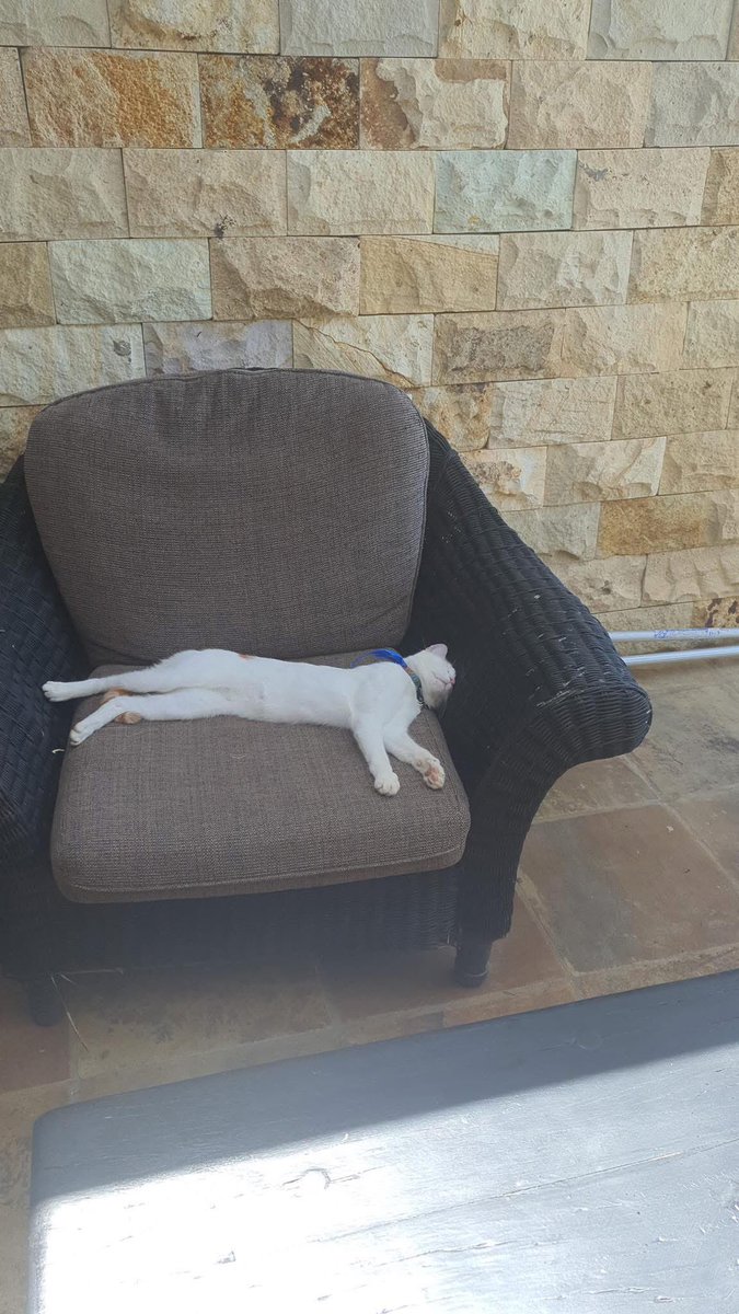 Garden Route SA tweet media