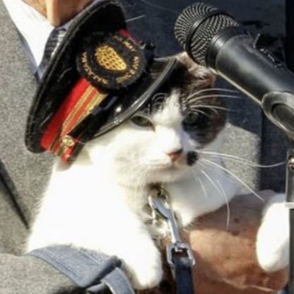 gusholderhaber's tweet photo. Japonya’da bir kedi, ülkenin yeni kedi istasyon şefi olarak göreve başladı. https://t.co/IvrnIQOO1a