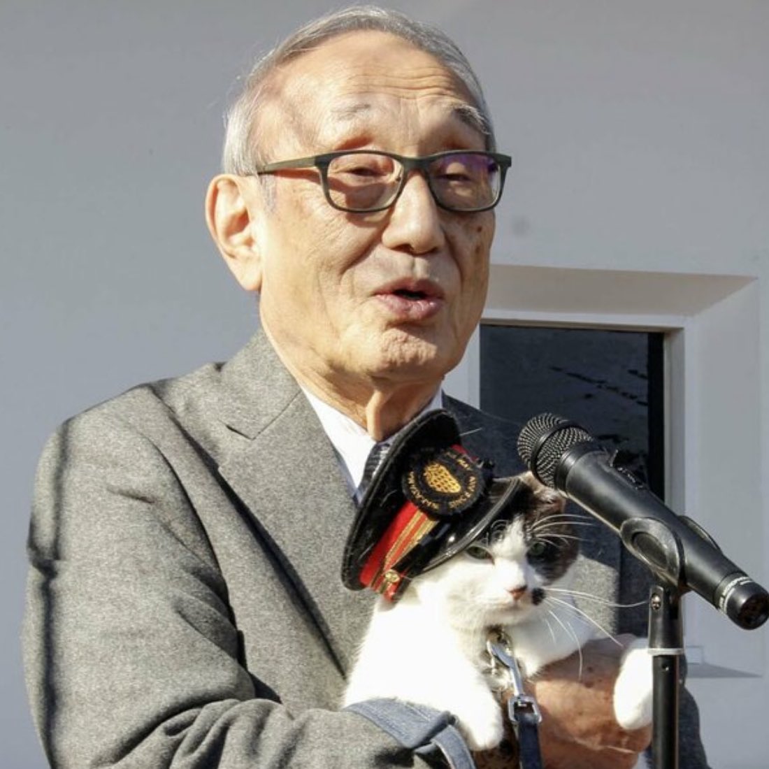 gusholderhaber's tweet photo. Japonya’da bir kedi, ülkenin yeni kedi istasyon şefi olarak göreve başladı. https://t.co/IvrnIQOO1a