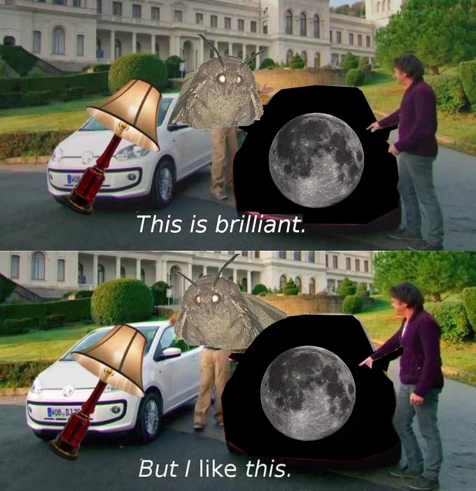 Bitfayeor's tweet image. million of years of evolution