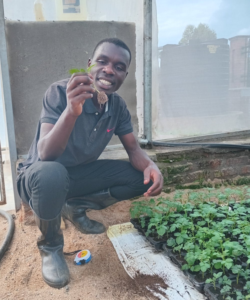 Gardening teaches the value of patience and the joy of watching something grow.🌱
#FarmWithZacharie 
#GardeningTips
#ProfessionalOfHope