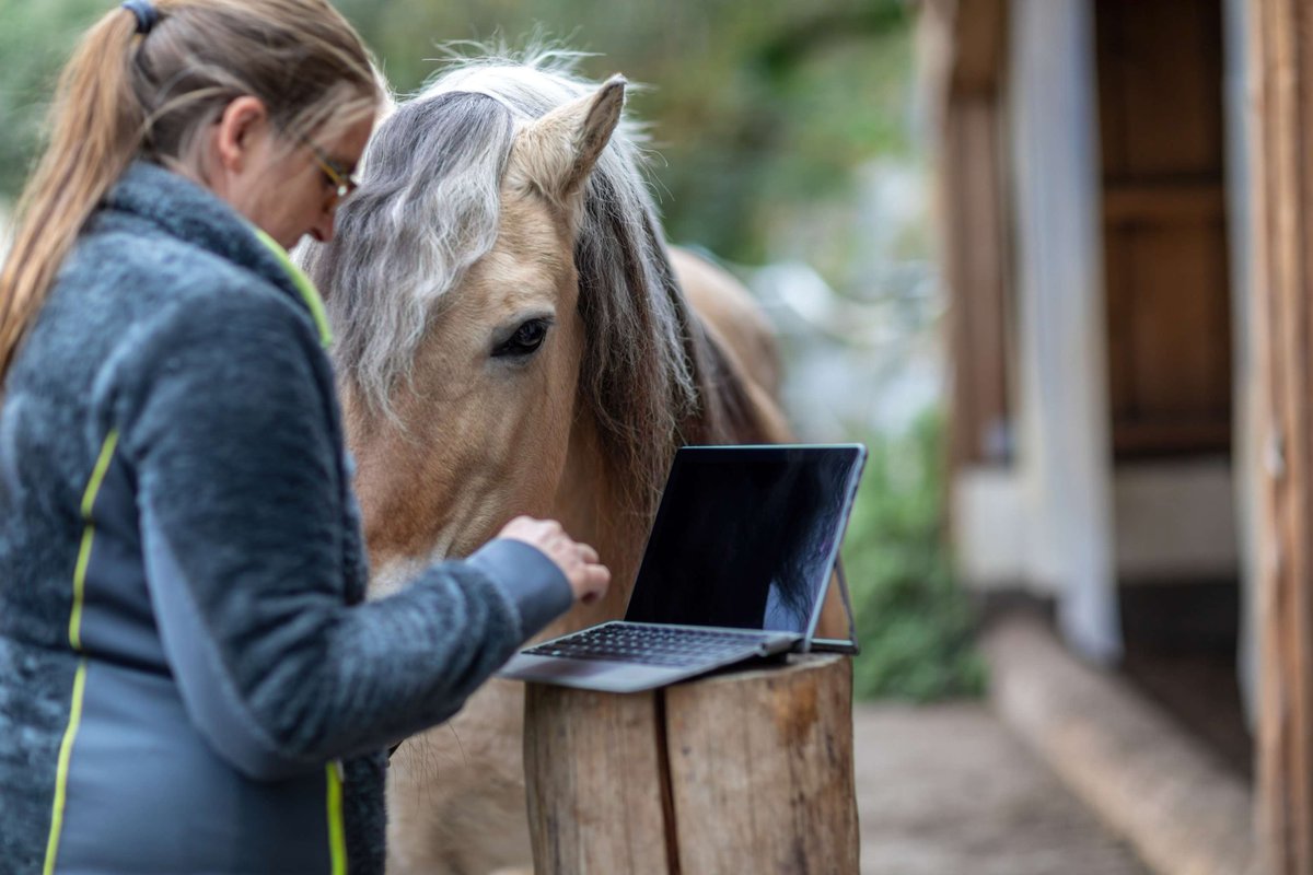 Let’s talk horse content 🐎
Outside of shopping, what equine websites do you enjoy most?
Learning, inspiration, training, or just great reads—we want to know! ⬇️
