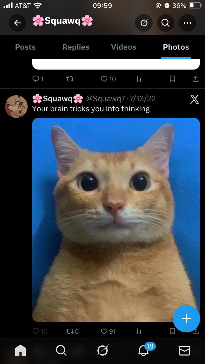 Riko 🐈‍⬛🌈🖤 tweet media