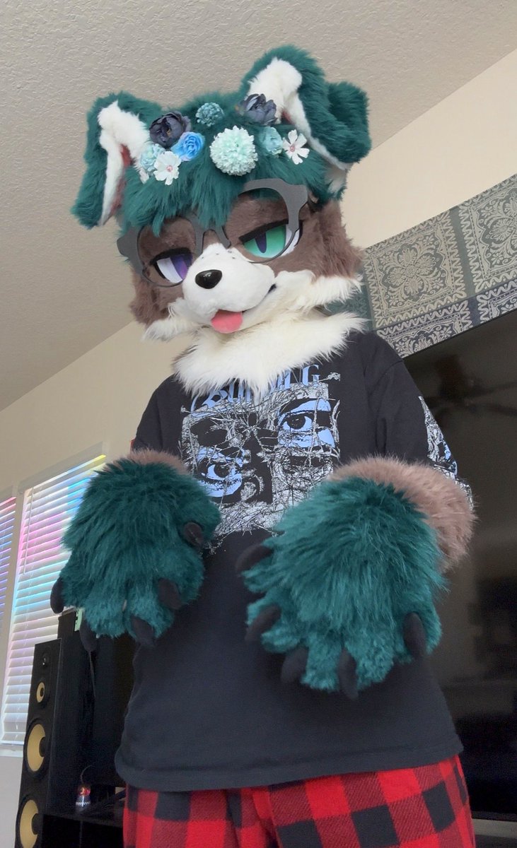 Frizk🔜TFF tweet media