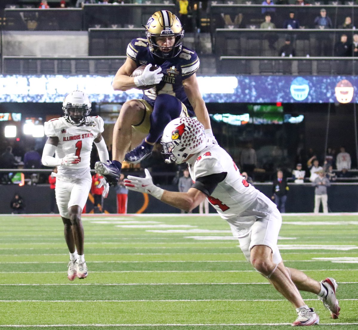 Skyline Sports tweet media