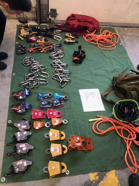 Deryn Rizzi tweet media