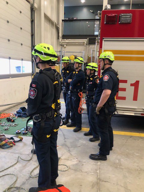 Deryn Rizzi tweet media