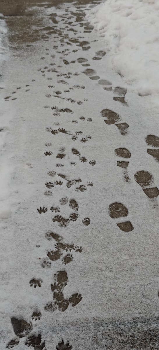 Brian Murphy tweet media