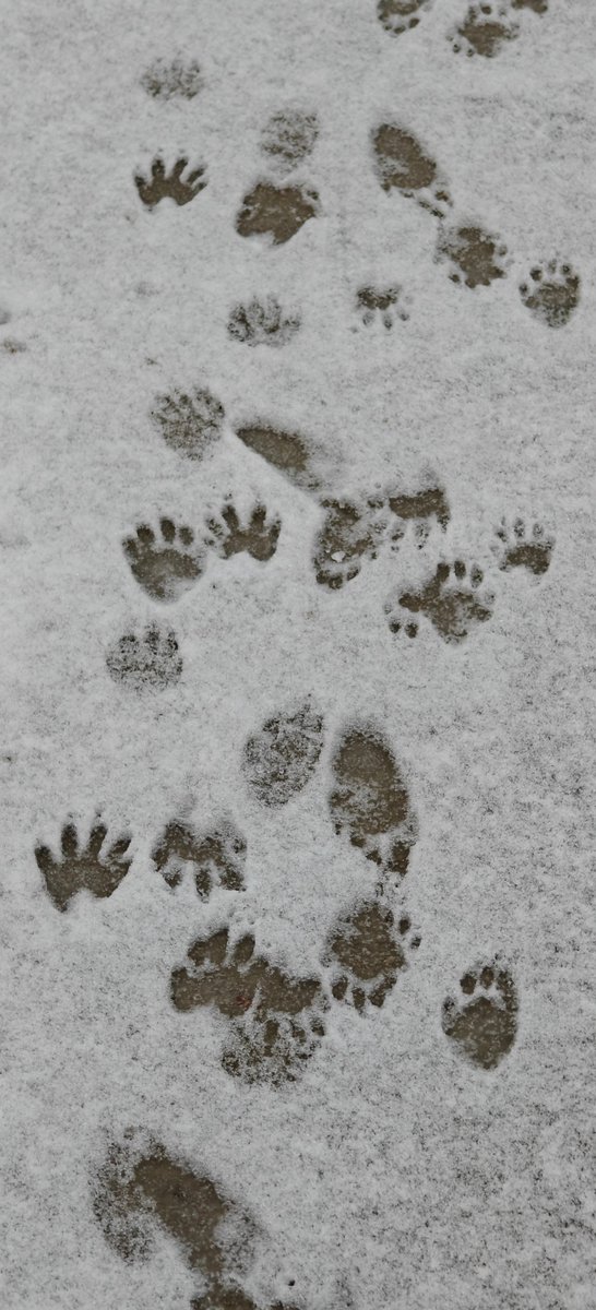 Brian Murphy tweet media