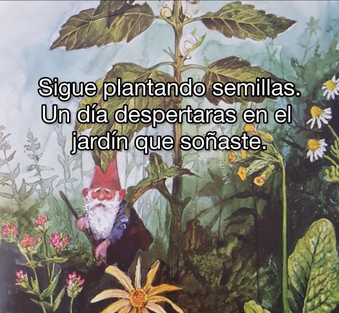 nxstypxet's tweet image. 