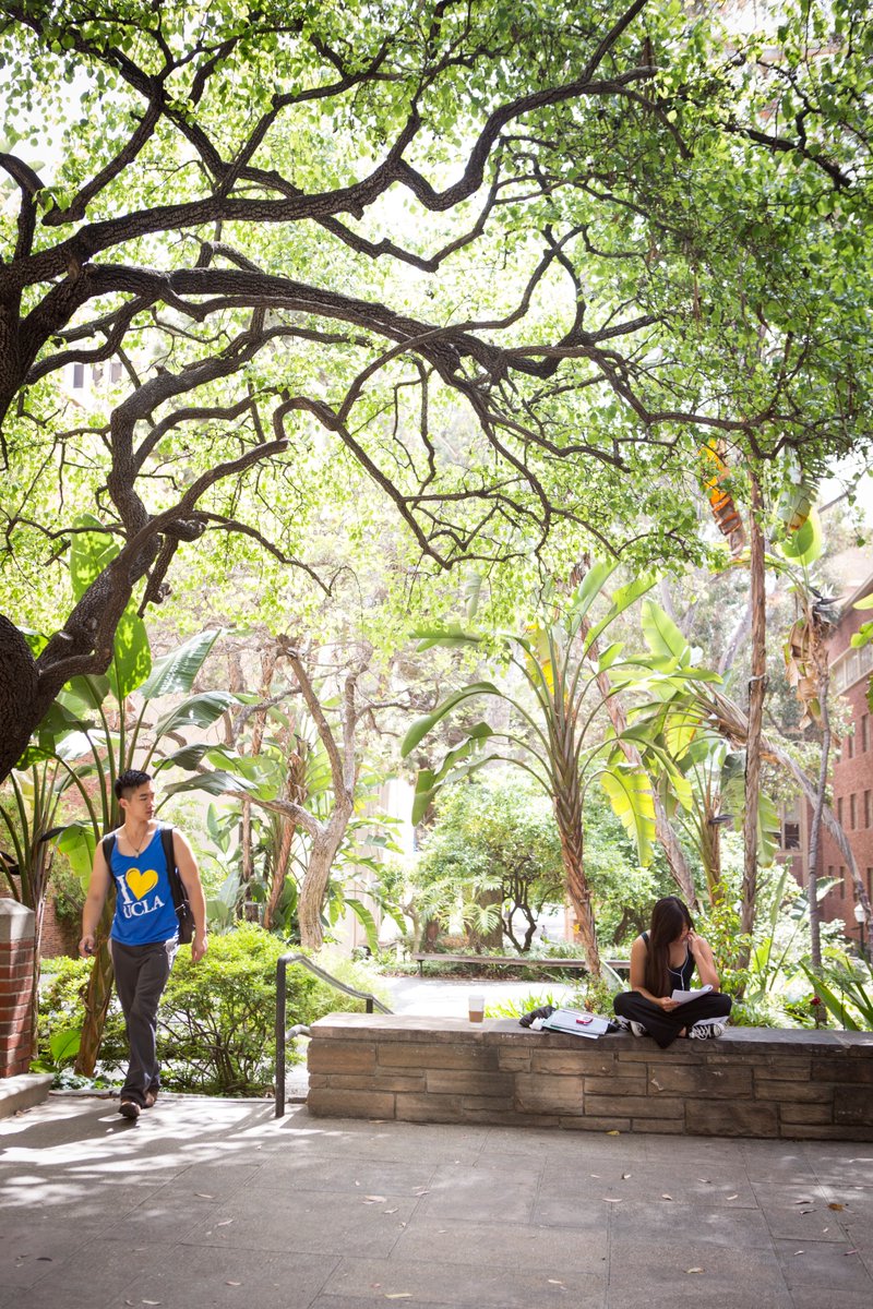 UCLA Alumni tweet media