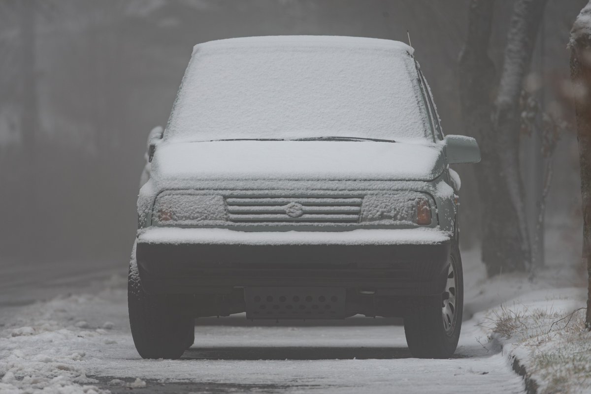 carlosnavas91's tweet image. Se dio bien el paseo