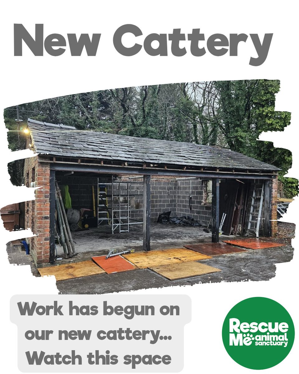 EXCITING NEWS!!! 
Work has started on our new cattery 🎉 We can't wait to see the progress over the next few weeks 👀

#excitingtimes #NewCattery #Cattery #BuildingWork