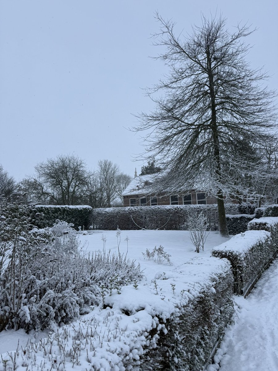 LindaJSterken's tweet photo. ❄️t’Is winter! https://t.co/dMOkR5Ktta