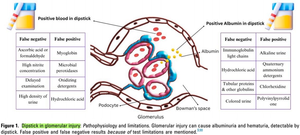 Nefro_Tweets tweet media