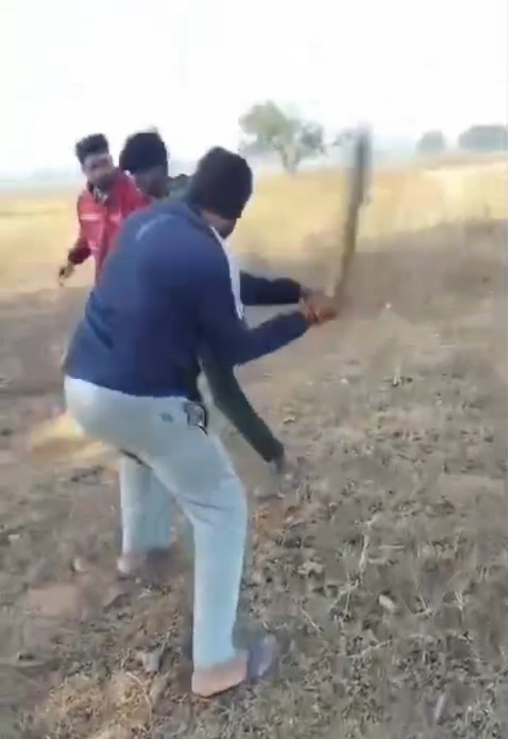 NKBudholiya's tweet photo. रीवा में नाबालिग को उल्टा लटकाकर हैवानों की तरह पीटाः दो युवकों ने डंडे, लात-घूंसे मारे, तीसरे ने वीडियो बनाया।
@narendramodi
@AmitShah
@AmitShahOffice
@CMMadhyaPradesh 
@DrMohanYadav51 
@DGP_MP
@mohdept https://t.co/vrxjYPSHzx