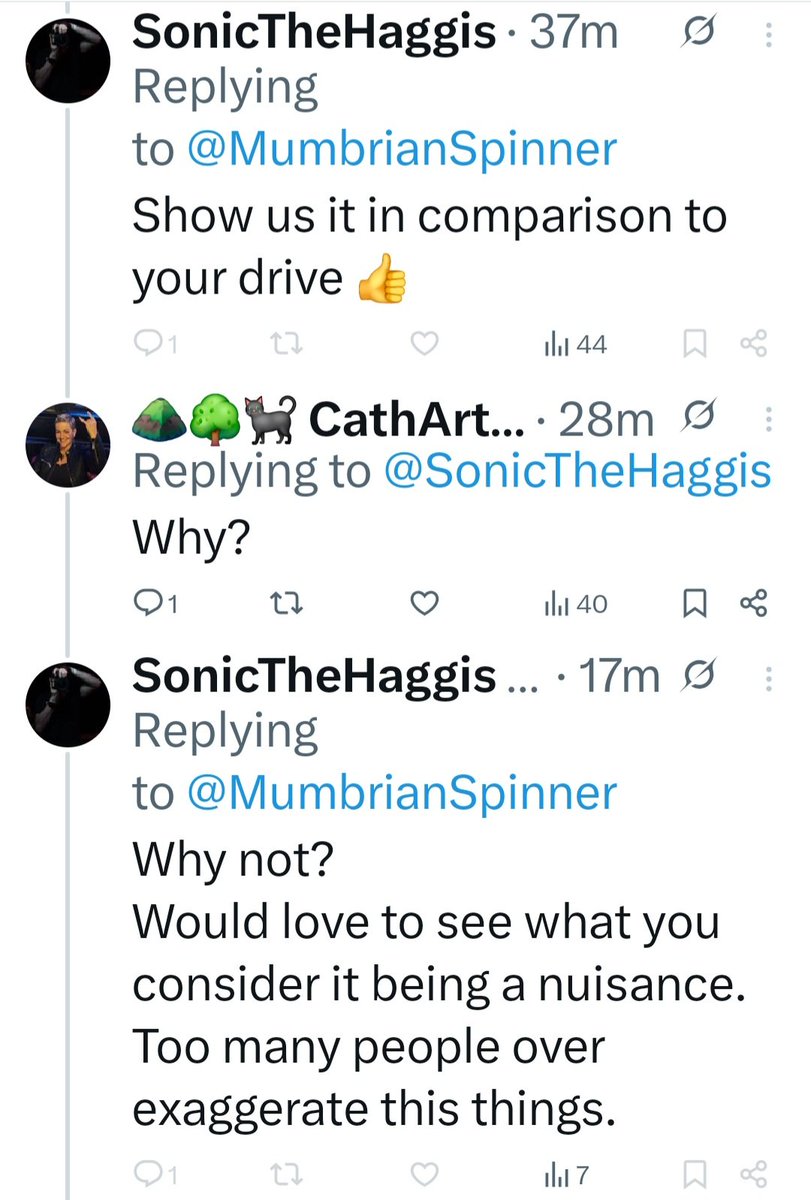 ⛰️🌳🐈‍⬛ CathArtic 🐈🐓🫖 tweet media