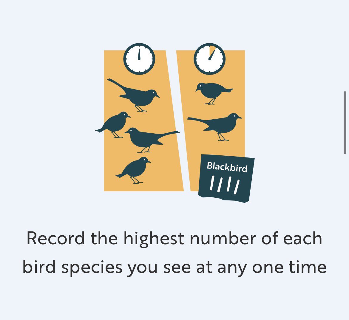 RedeCommon's tweet photo. The RSPB is doing a Big Garden Birdwatch between 23rd to 25th January 2026! 

It only takes 1 hour and makes a huge difference to UK bird

For more information:

https://t.co/YJHO5pNgng https://t.co/NRcXMiedPy