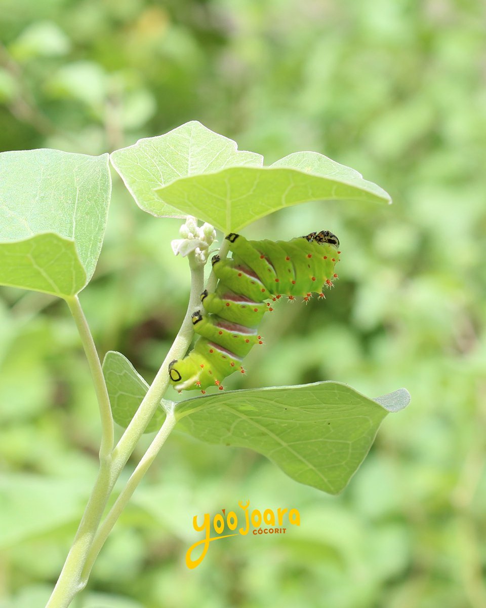 Antes de tu regreso a clases, visítanos