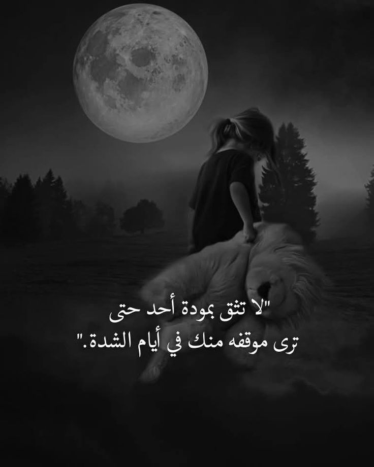 #وداع_القلب
أعرف أنه لم يعد لي مكان في قلبك
وأدرك جيدا أن القلوب
حين تضيق لا تتسع لعتاب
ولا تمنح تفسيرا للغياب
تجاهلني كيفما شئت
فالتجاهل لغة أتقنتها
وتعلمت أن أقرأها بصمت موجع
لكني
رغم كل هذا
لن أخون وعدي
#همسة_عتاب