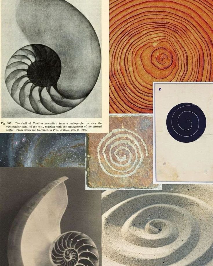 controdicting's tweet image. 