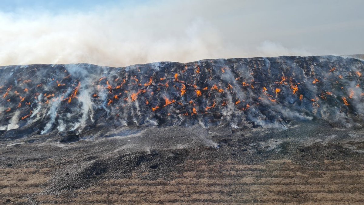 aapresid's tweet photo. Desde Aapresid buscamos concientizar sobre los incendios registrados en el sur de la provincia de Buenos Aires y parte de La Pampa, originados por la combinación de altas temperaturas, vientos intensos y factores humanos. A continuación recomendamos:

🔴 Condiciones de trabajo
- Evitar cosechar con temperaturas >30 °C, humedad <30% y vientos >30 km/h.
- Cosechar preferentemente por la mañana o al atardecer.

🛠️ Maquinaria y mantenimiento
- Proteger motor y sistema de turbo de acumulaciones de material.
- Cubrir los escapes con mallas metálicas antichispas.
- Evitar y reparar pérdidas de aceite o gasoil.

🚒 Prevención y respuesta
- Llevar extinguidores de polvo adecuados en cada máquina.
- Contar con envases de agua para enfriar rodamientos o focos de difícil acceso.
- Liberar los accesos y llenar los tanques australianos
- Uso de fumigador con agua como "guardia de ceniza".
- Eliminar vegetación de alambrados, cortafuegos y alrededor de zonas de almacenamiento de heno.

⚠️ Buenas prácticas generales
- No hacer fogatas ni quemar residuos en zonas no habilitadas.
- No arrojar cigarrillos, envases ni vidrios en pastizales.