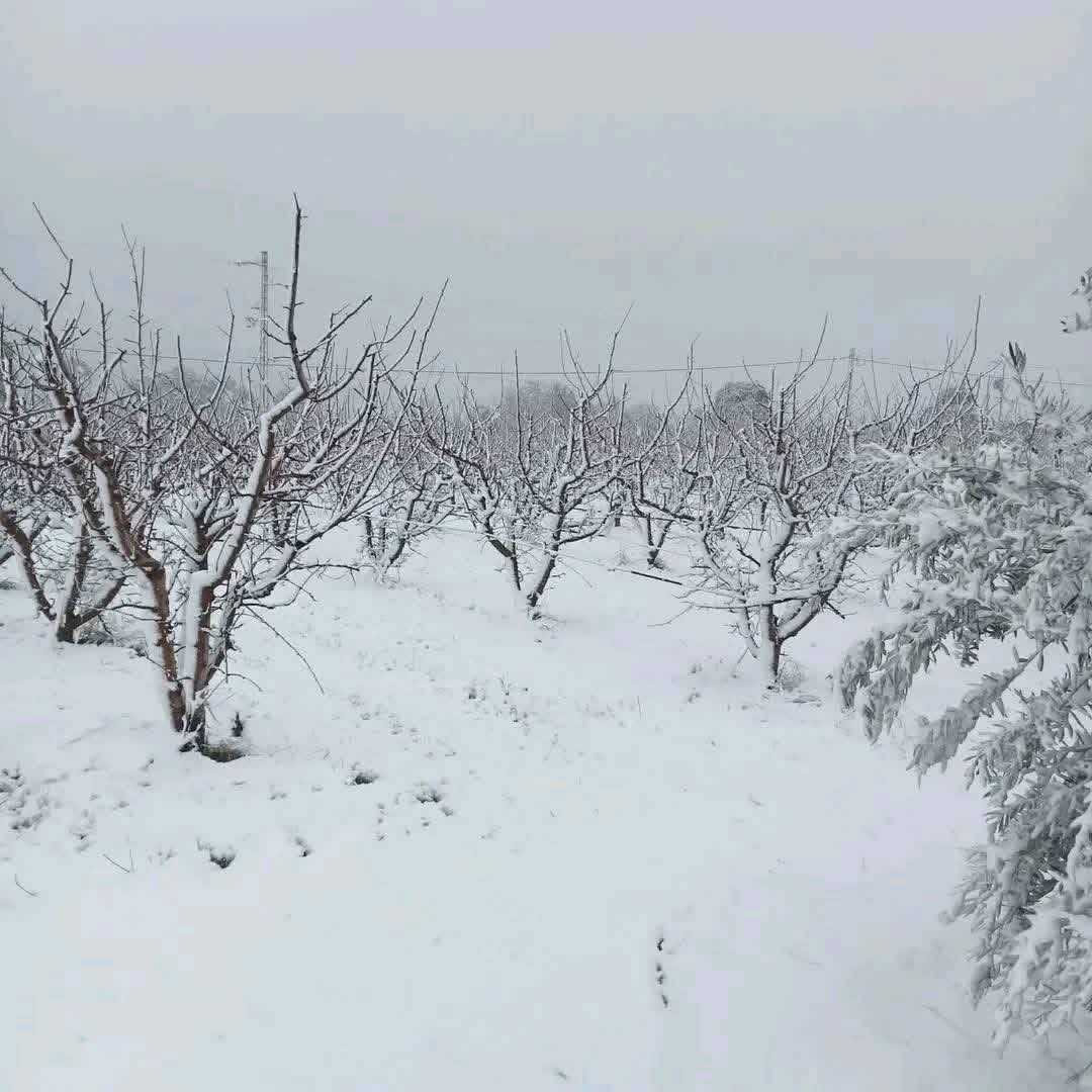 مجدي محمد (@majdibilel) on Twitter photo 