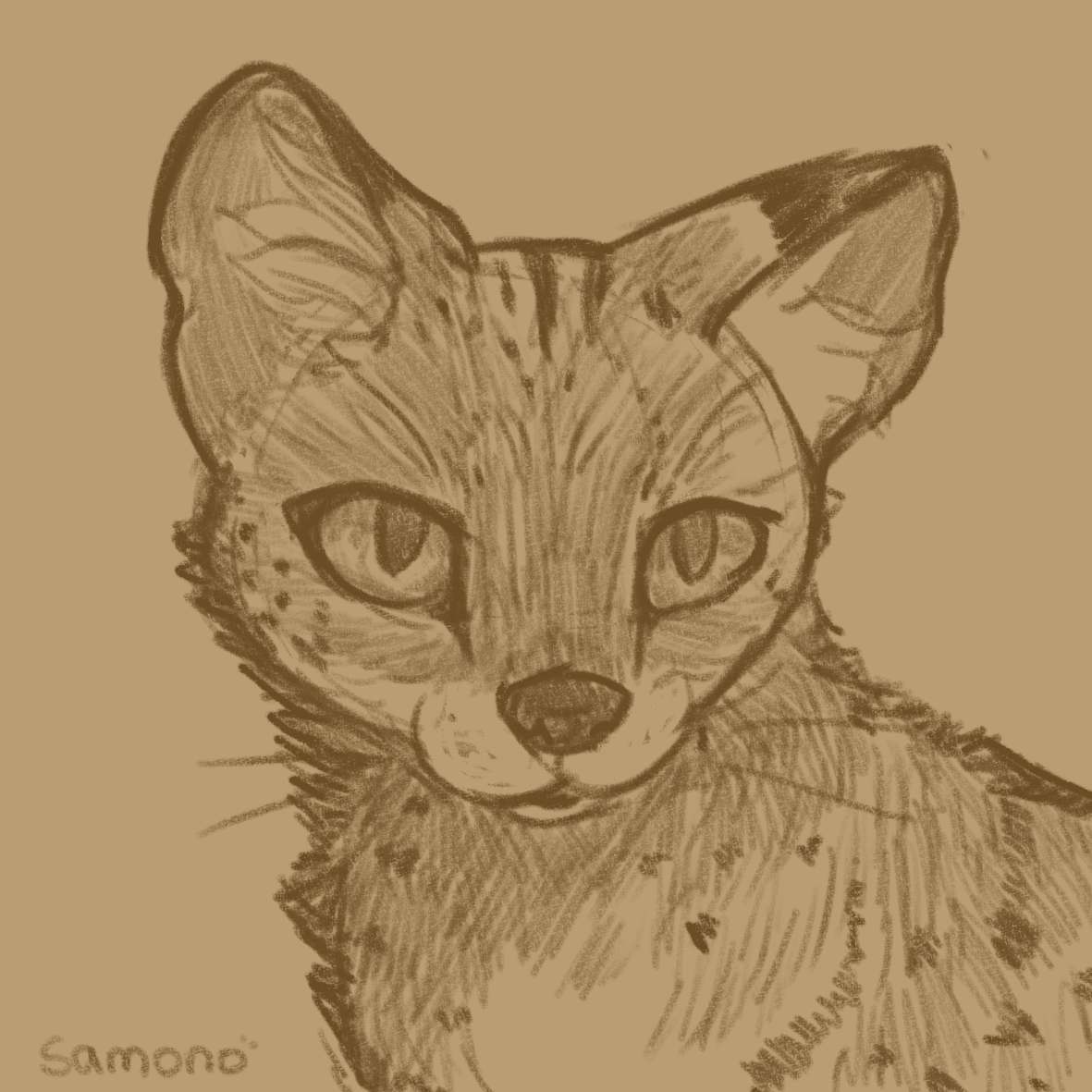 MagicalSamono's tweet image. sketch