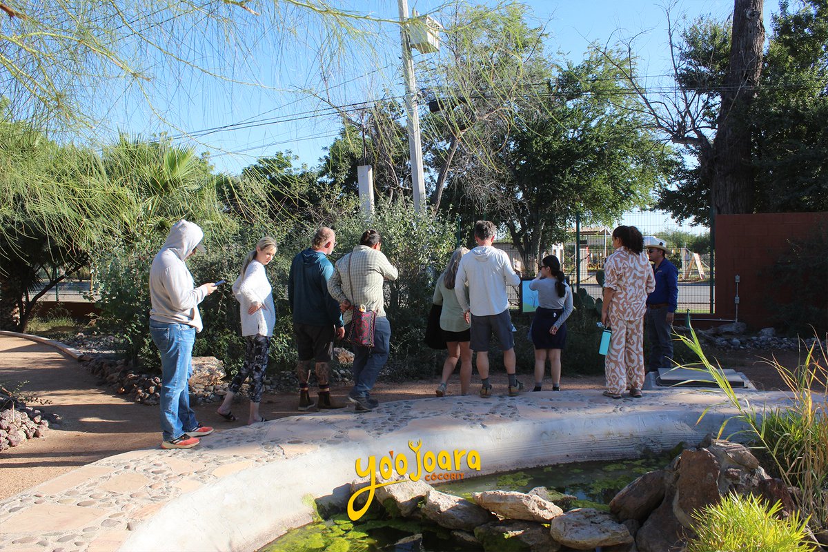 Este caluroso invierno te esperamos en el Mariposario Baisebolim Toosa y el Jardín Etnobotánico Sawali Sewam.
Horarios:
L–V | 8:00 a.m. – 6:00 p.m.
S–D | 10:00 a.m. – 6:00 p.m.
Cuota de recuperación
Adultos $40 | Niñas y niños $20