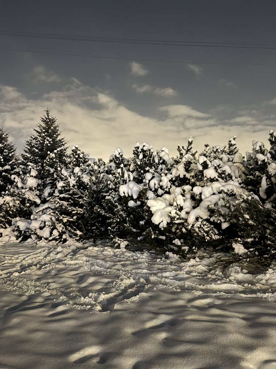 Не, я пивка (@anatolich_29) on Twitter photo 