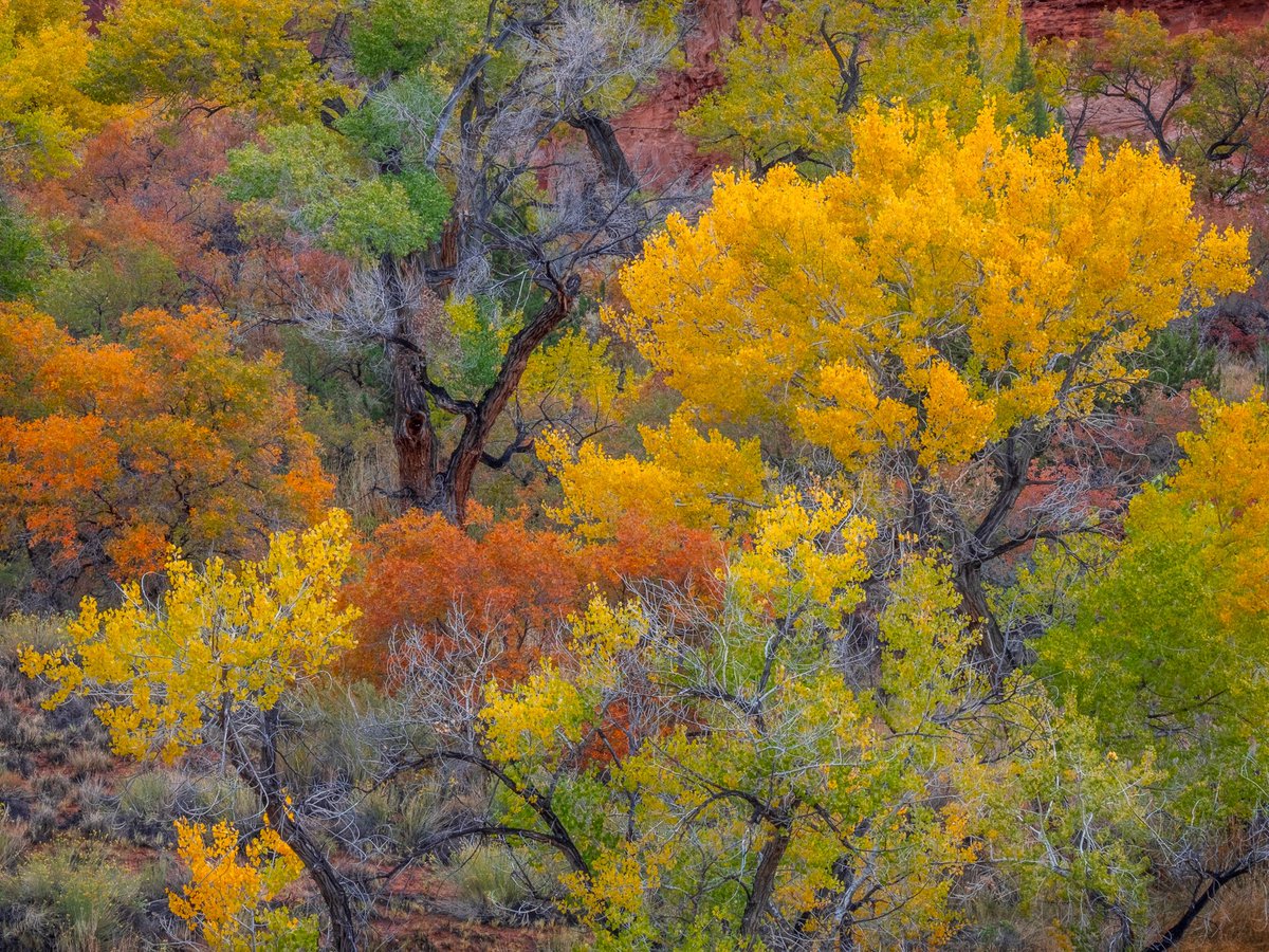 Silencio y paz.

“Bosques profundos.
Espacios misteriosos y solitarios,
que nos invitan a la reflexión.
A descubrir su infinitud a través del silencio..
✍️J.M.Ballester.

¡Buenas tardes, buenos días!

📷Guy Tal.