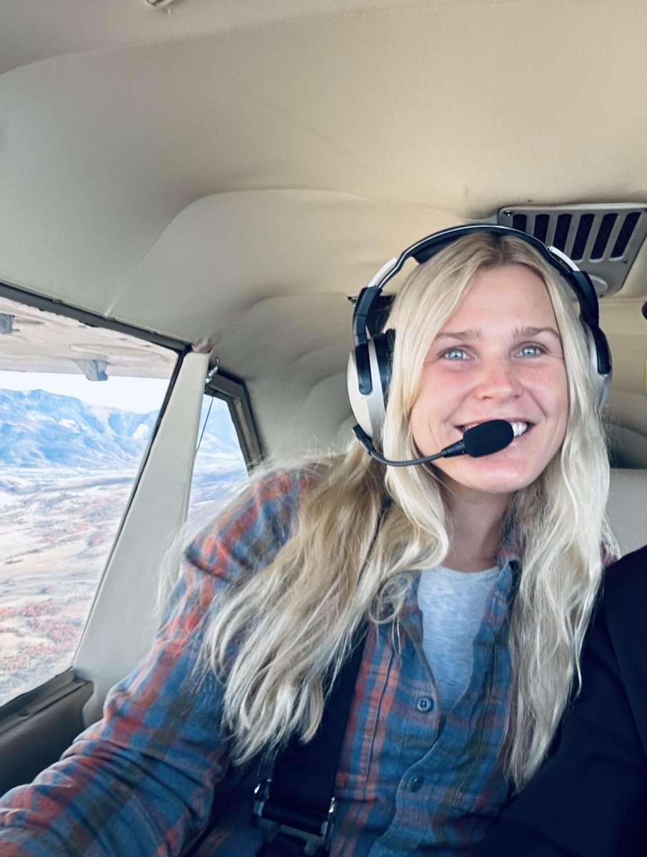 Dauntless Air tweet media