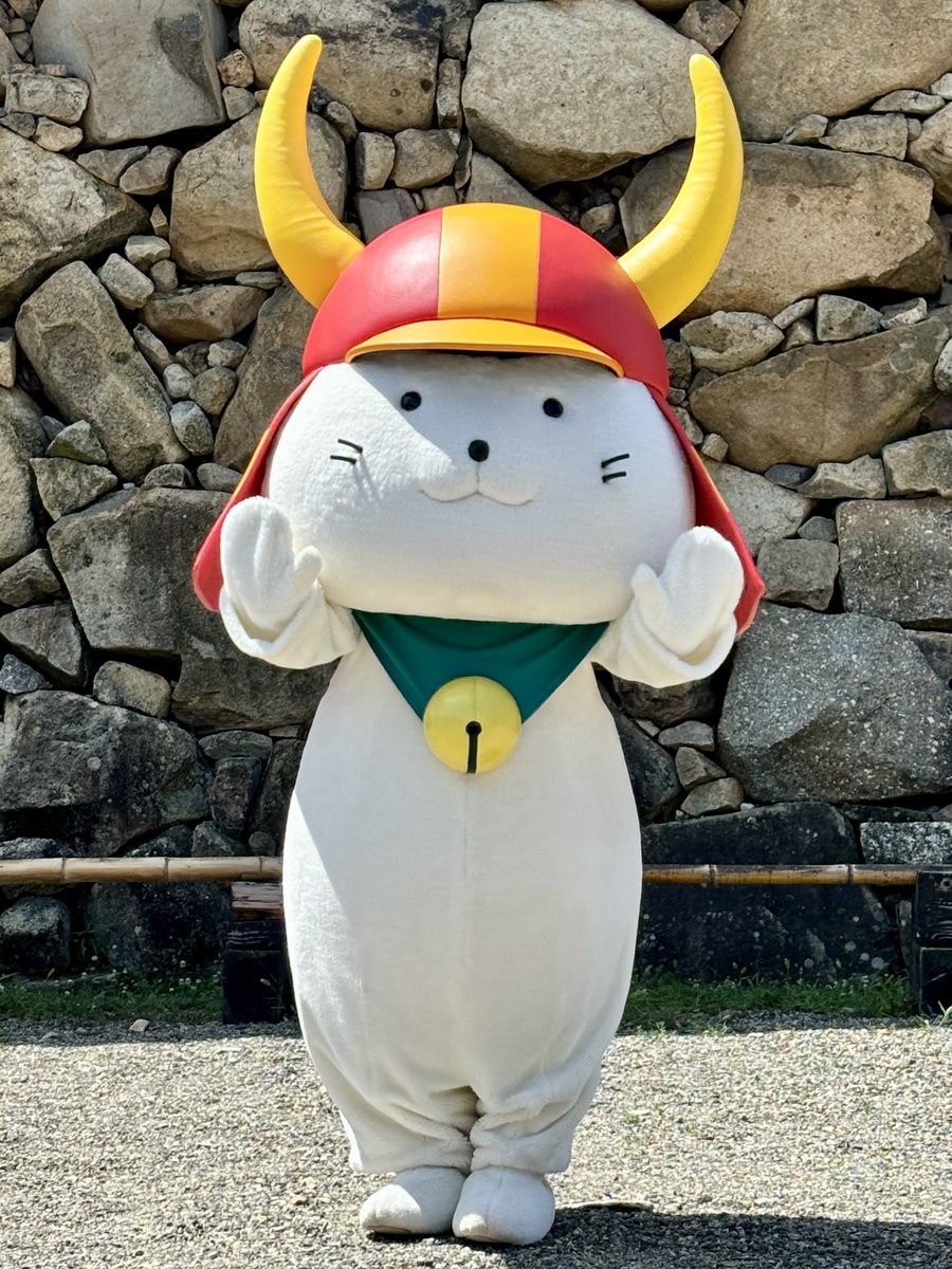 あきにゃん🦢🎵歌とハープが好き🦢🎵第九のソロを歌いたい