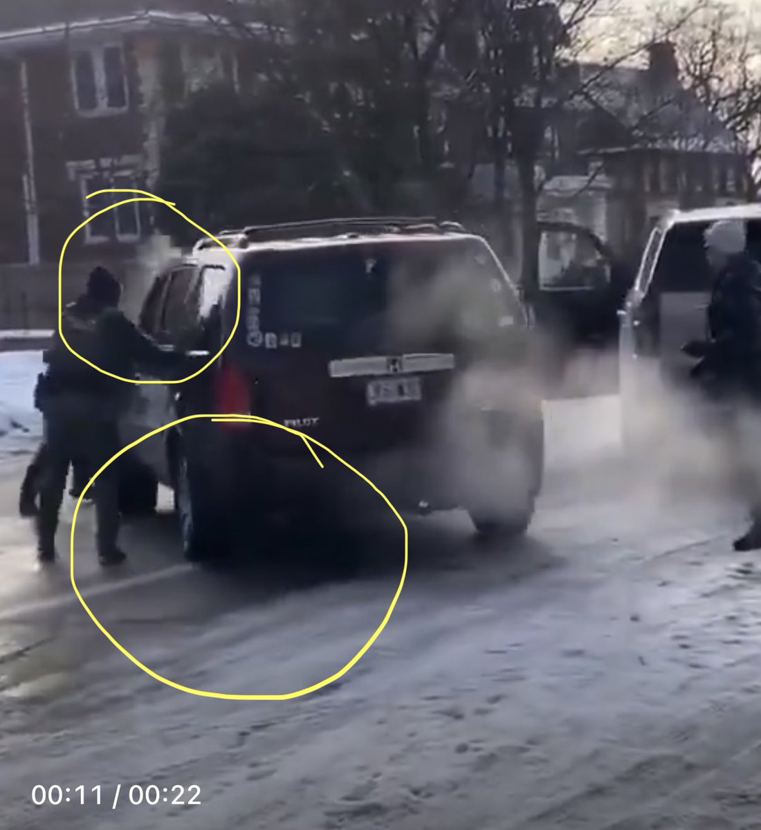 Marina Medvin 🇺🇸 tweet media