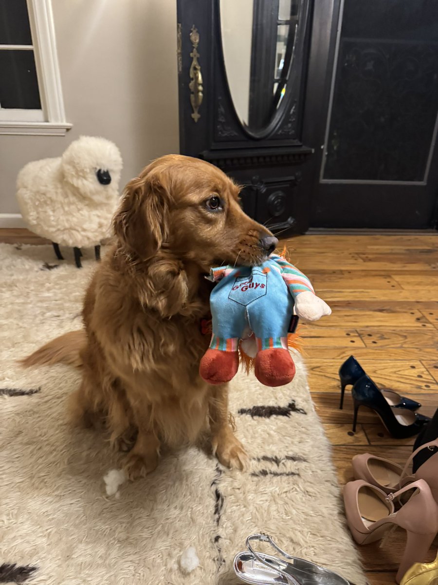 fionadourif's tweet image. My stylist’s dog caught eating my dad